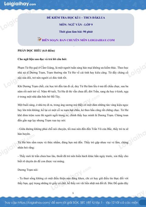Đề thi học kì 1 Văn 9 - Đề số 6